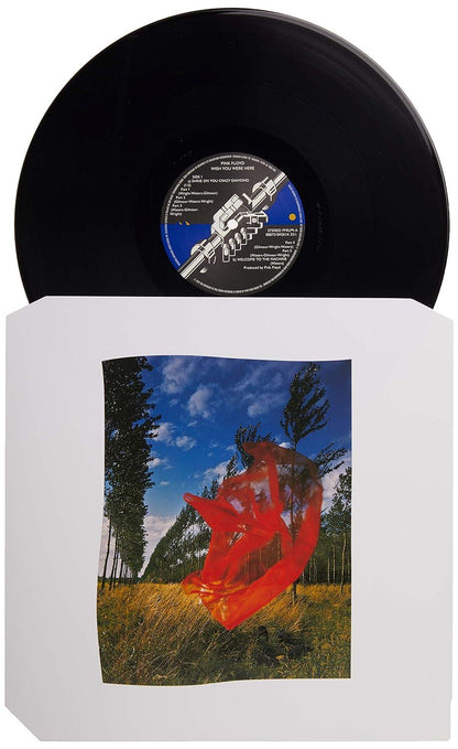 Pink Floyd - Wish You Were Here (Remastered, 180 Gram) (LP) - Joco Records