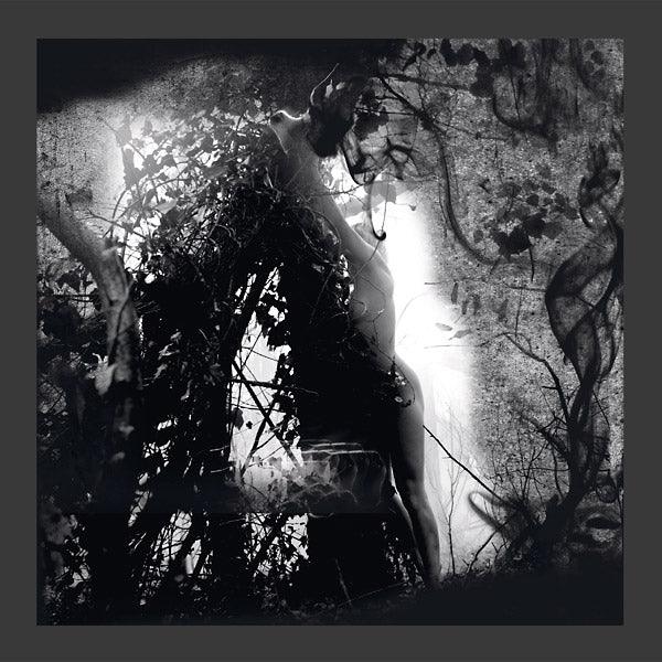 Pisetzky - Tears Of A Rough Machine (LP) - Joco Records