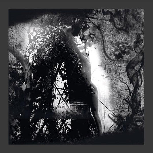 PISETZKY - Tears Of A Rough Machine