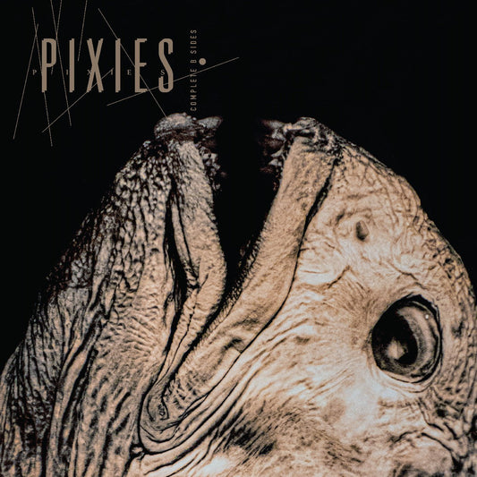 Pixies - Complete B Sides: 1988 - 97 (Indie Exclusive, Clear Vinyl) (Vinyl) - Joco Records