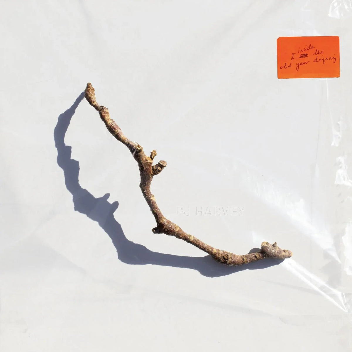 Pj Harvey - I Inside The Old Year Dying (LP) - Joco Records
