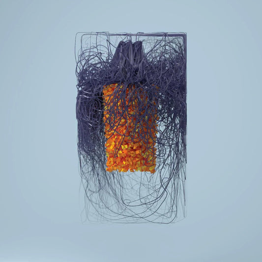 Plaid - Polymer (2 LP) - Joco Records
