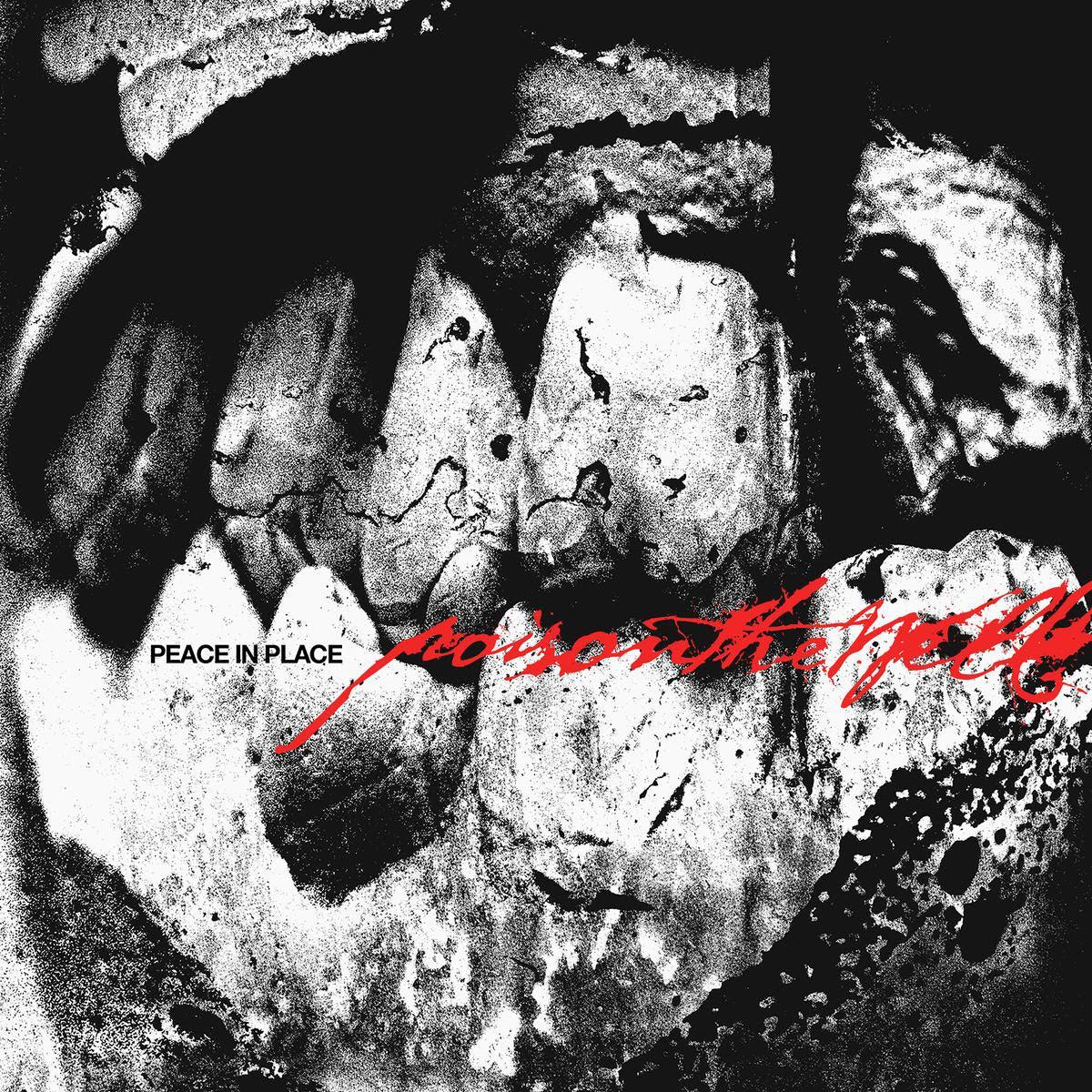 Poison The Well - Peace In Place (Ultra Clear Vinyl) (LP) - Joco Records