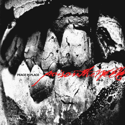 Poison The Well - Peace In Place (Ultra Clear Vinyl) (LP) - Joco Records