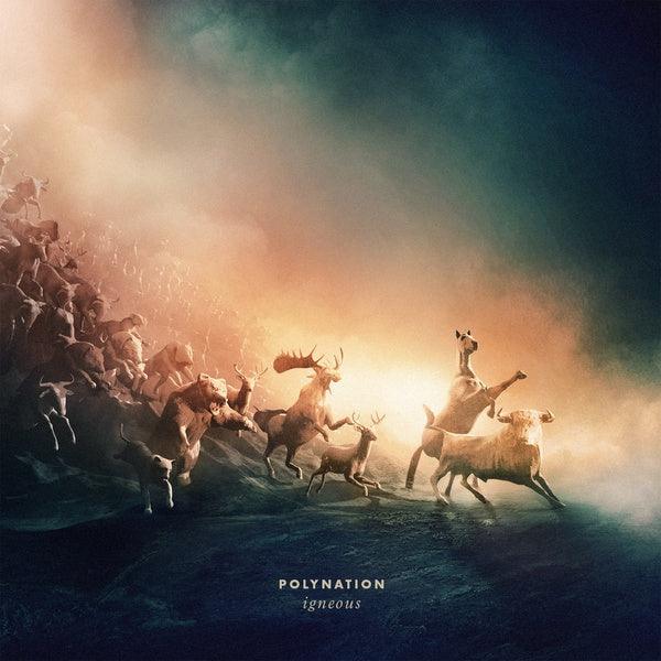 Polynation - Igneous (2 LP) - Joco Records
