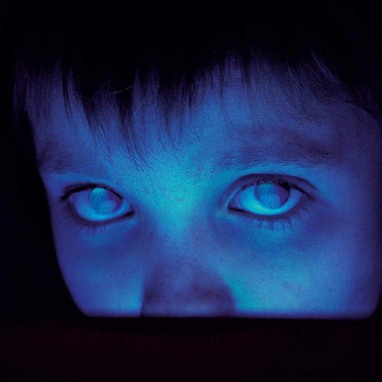 Porcupine Tree - Fear Of A Blank Planet (Import) (2 LP) - Joco Records