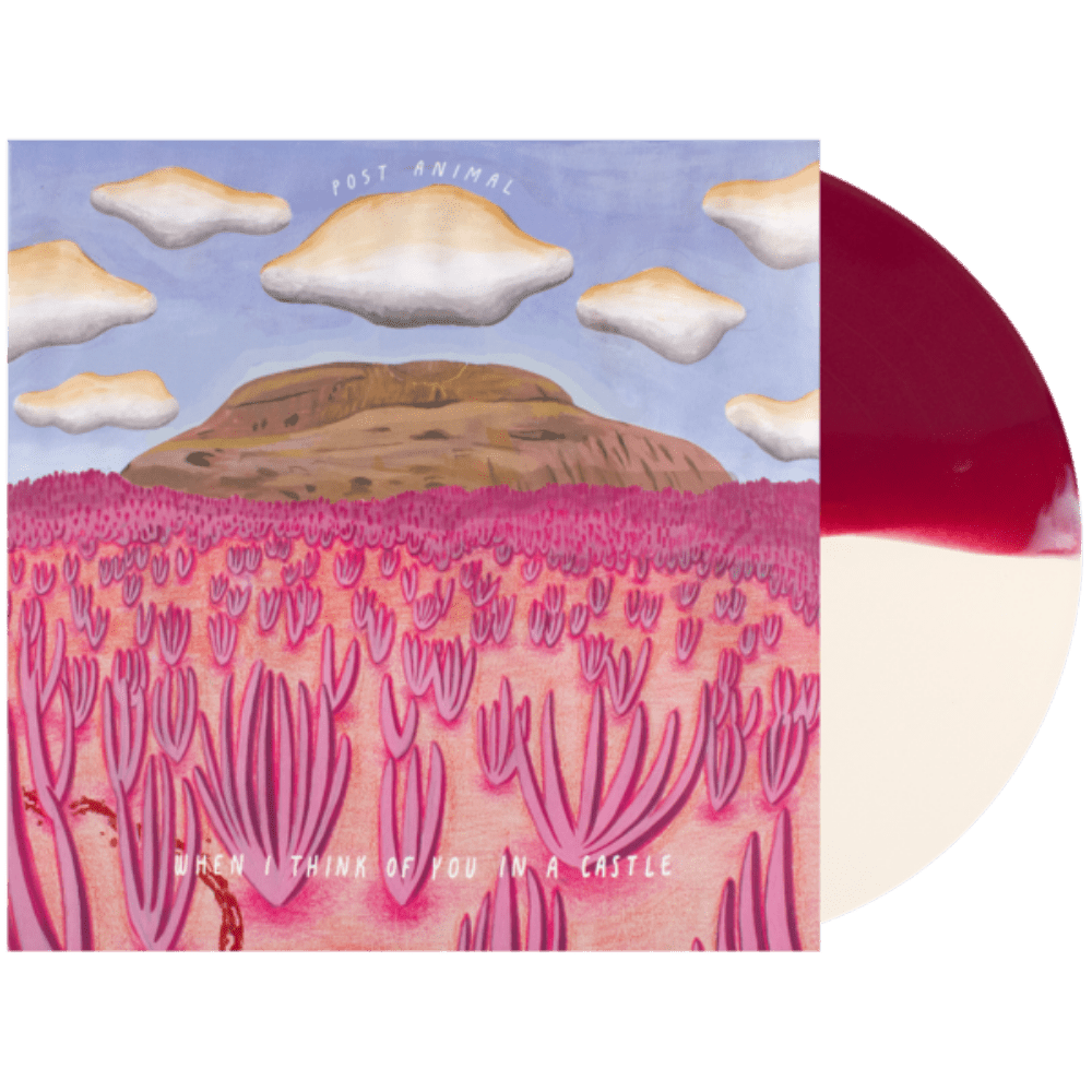 Post Animal - When I Think of You In A Castle (Limited Edition, Cream & Maroon Vinyl) (LP) - Joco Records