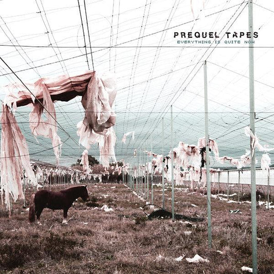 Prequel Tapes - Everything Is Quite Now (LP) - Joco Records