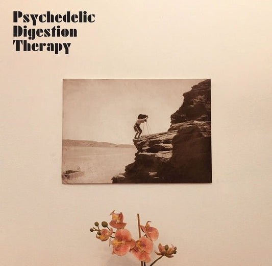 Psychedelic Digestion Therapy - Psychedelic Digestion Therapy (LP) - Joco Records