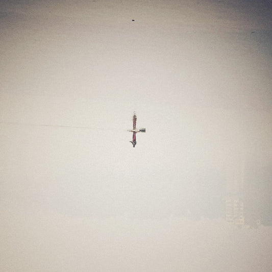 Qasim Naqvi - Endling (Translucent Vinyl)