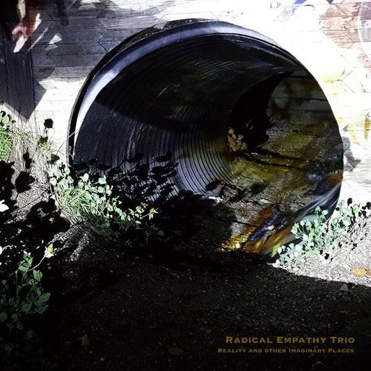 Radical Empathy Trio - Reality And Other Imaginary Places (LP) - Joco Records