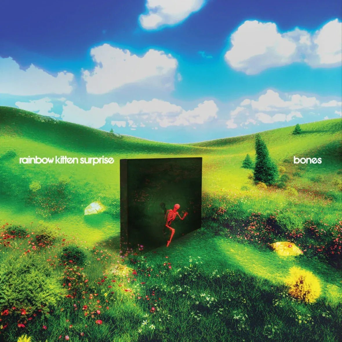 Rainbow Kitten Surprise - Bones (Indie Exclusive, Banana Yellow Vinyl) (LP) - Joco Records