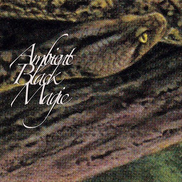 Rainforest Spiritual Enslavement - Ambient Black Magic (3 LP) - Joco Records