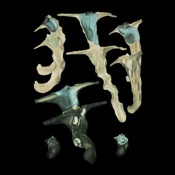 Rainforest Spiritual Enslavement - Jellyfish Reproduce Black Magic (12 - Inch Vinyl EP) - Joco Records