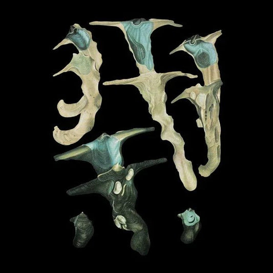 Rainforest Spiritual Enslavement - Jellyfish Reproduce Black Magic (12 - Inch Vinyl EP) - Joco Records