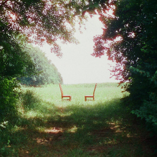Ratboys - Singin' To An Empty Chair (Indie Exclusive) (2 LP) - Joco Records