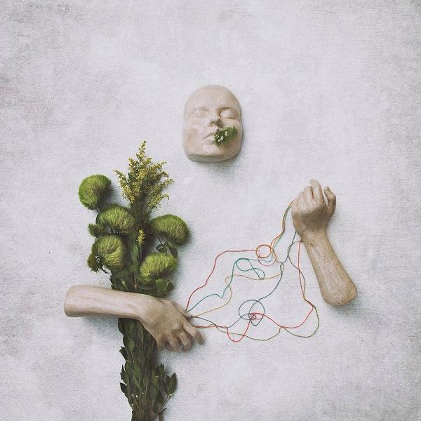 Red Steppes - A Mouth May Grow (LP) - Joco Records