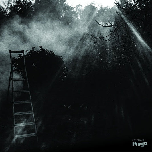 Reinhold Friedl & Eryck Abecassis - Animal Electrique (LP) - Joco Records