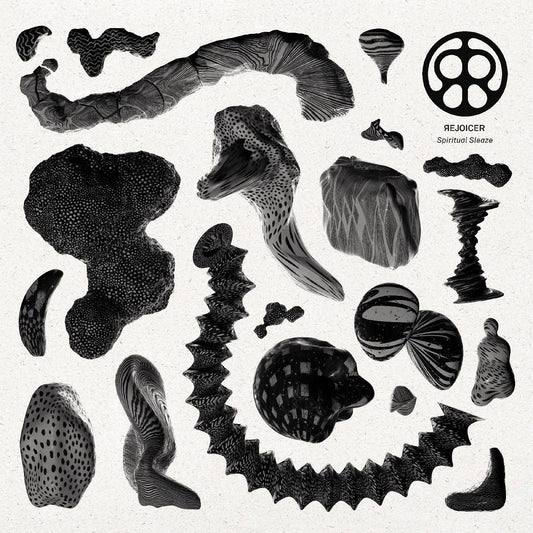 Rejoicer - Spiritual Sleaze (LP) - Joco Records