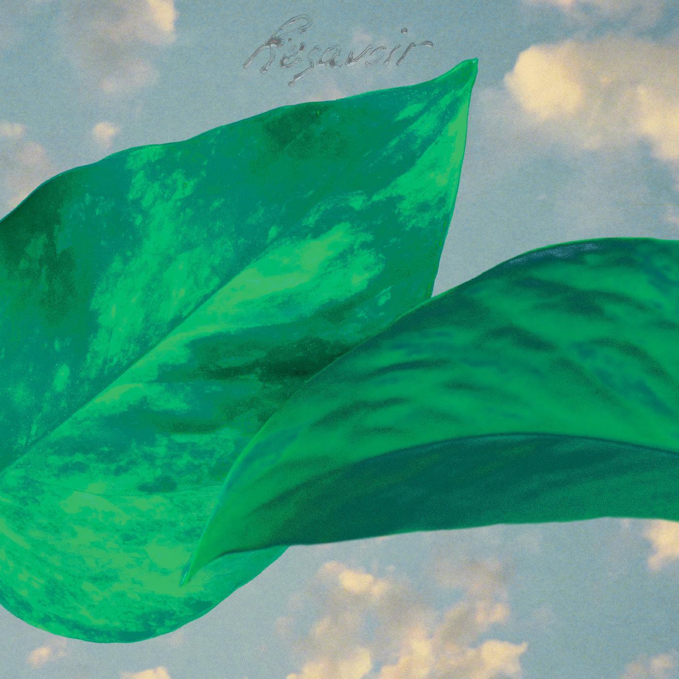 Resavoir - Resavoir (LP) - Joco Records
