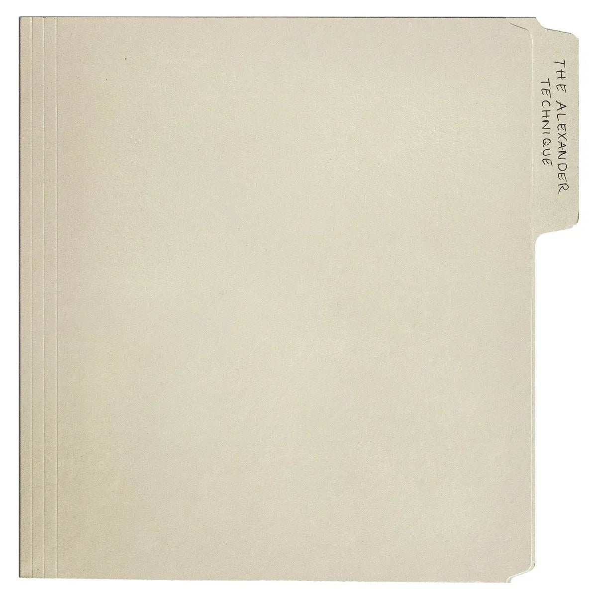 Rex Orange County - The Alexander Technique (Gatefold Lp Jacket, Poster) (2 LP) - Joco Records