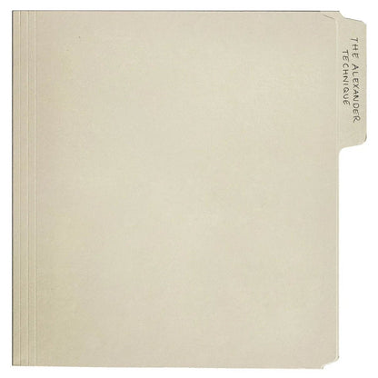 Rex Orange County - The Alexander Technique (Gatefold Lp Jacket, Poster) (2 LP) - Joco Records