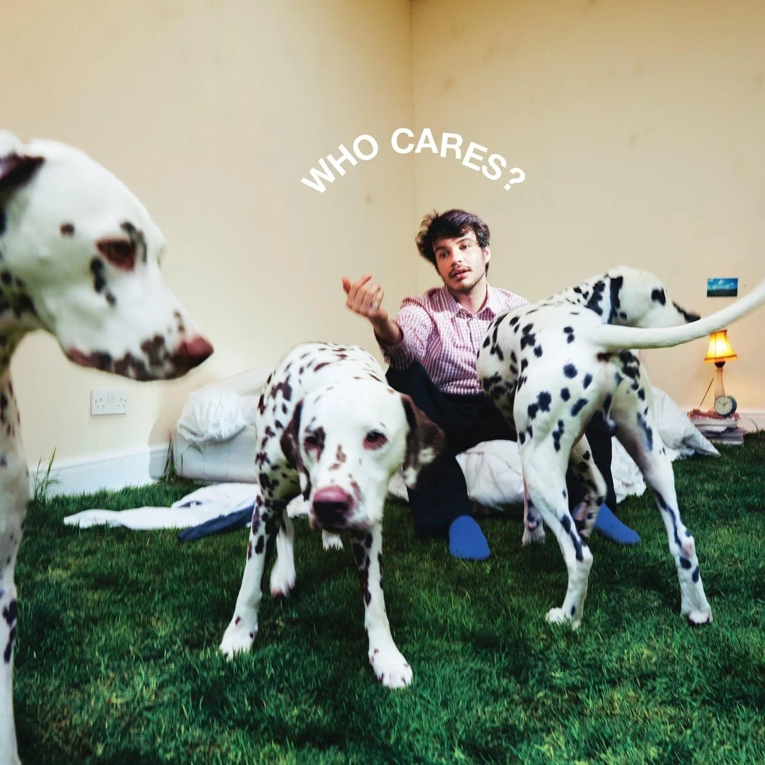 Rex Orange County - Who Cares? (LP) - Joco Records