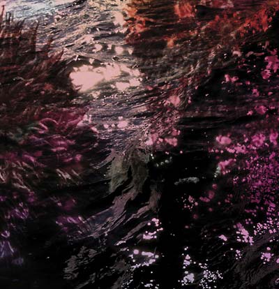 Ricardo Tobar - Treillis (Vinyl)