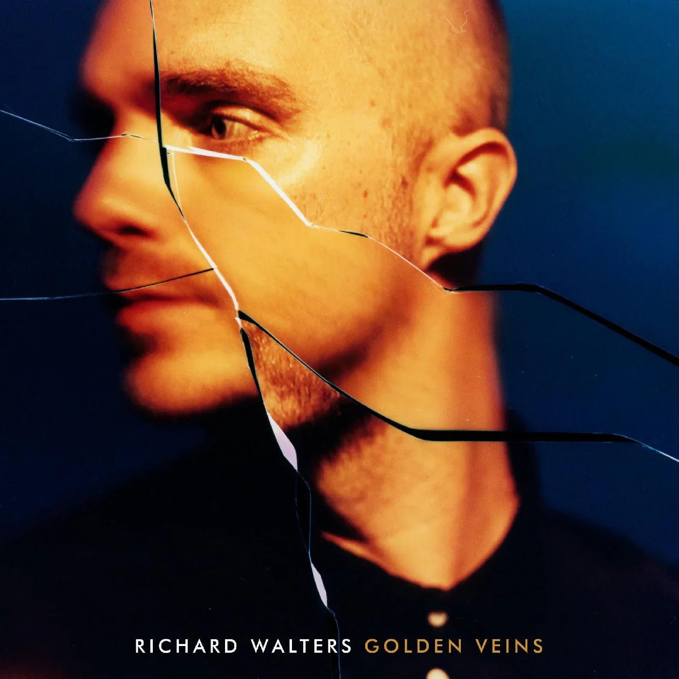 Richard Walters - Golden Veins (LP) - Joco Records