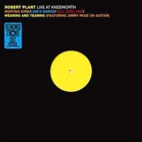 Robert Plant- Live At Knebworth 1990 (12-Inch Vinyl) - Joco Records
