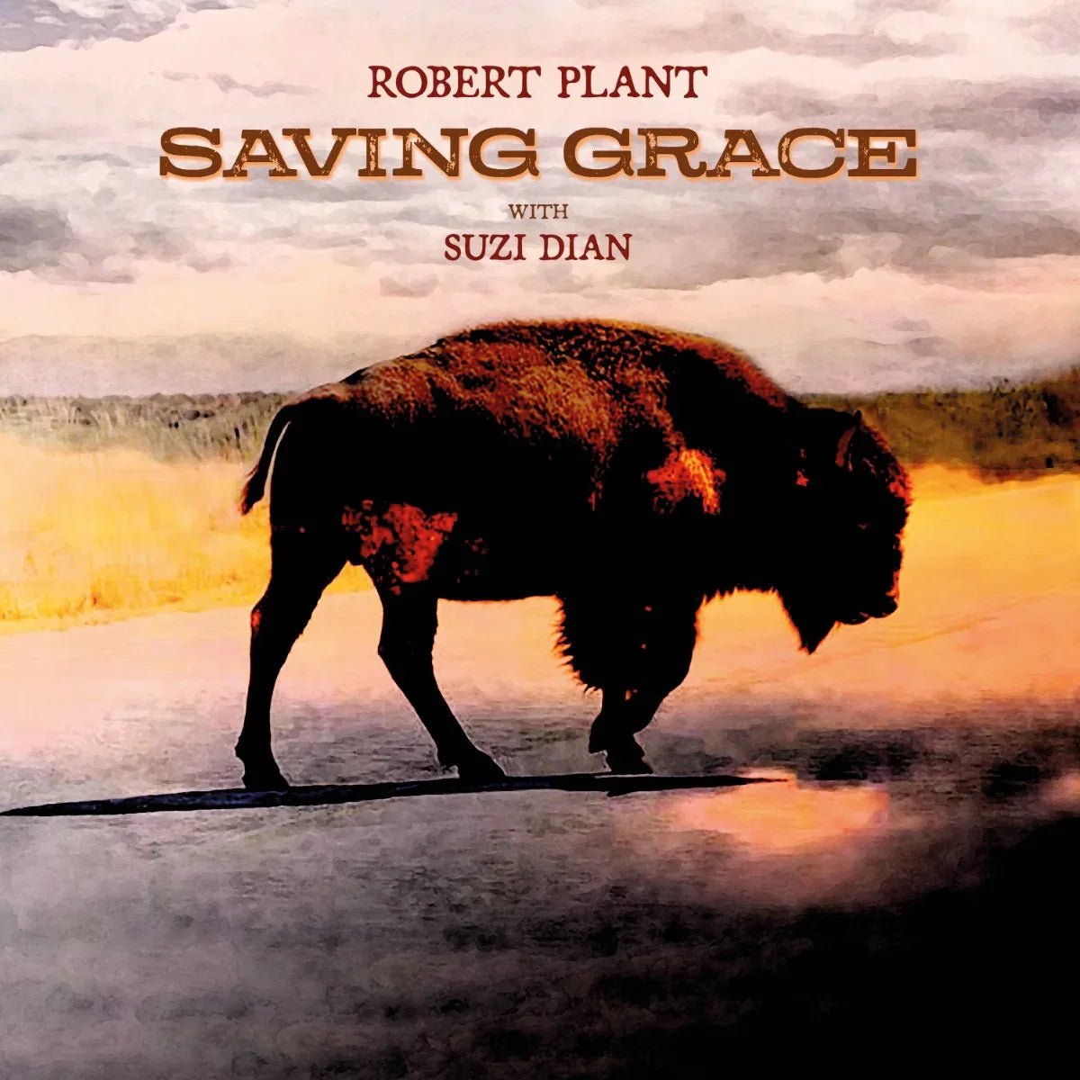 Robert Plant - Saving Grace (Indie Exclusive) (Fruit Punch Vinyl) - Joco Records