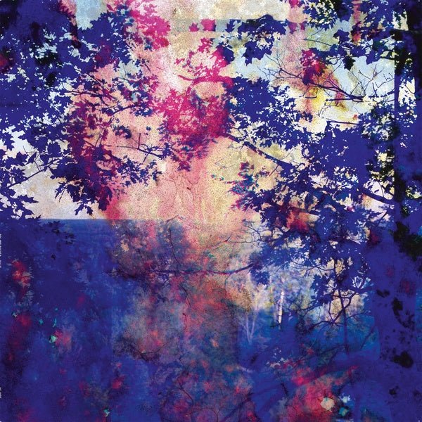 Roland Bucher - Viaje (LP) - Joco Records