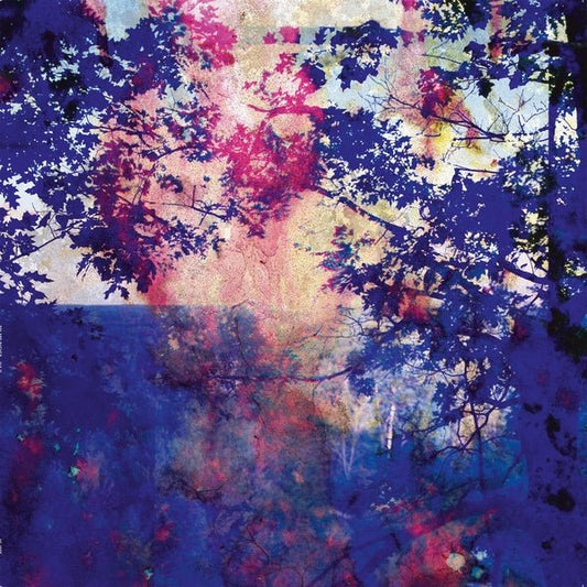 Roland Bucher - Viaje (LP) - Joco Records