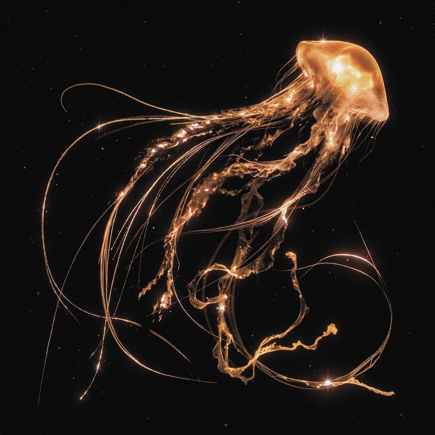 Royal Blood - Back To The Water Below (Indie Exclusive, Clear Vinyl) (LP) - Joco Records