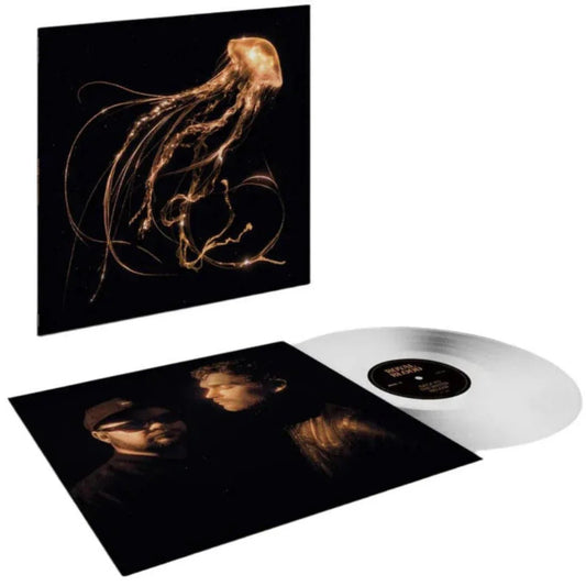 Royal Blood - Back To The Water Below (Indie Exclusive, Clear Vinyl) (LP) - Joco Records