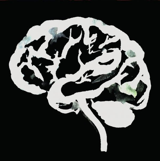 Ruins - Brain Flakes (The Lost Combo Tapes) (LP) - Joco Records