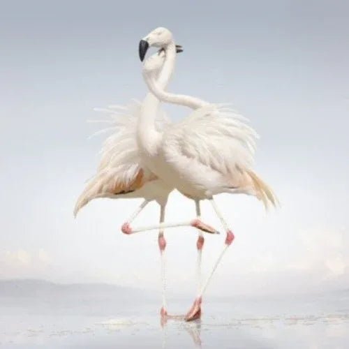 Rustie - Green Language (2 LP) - Joco Records