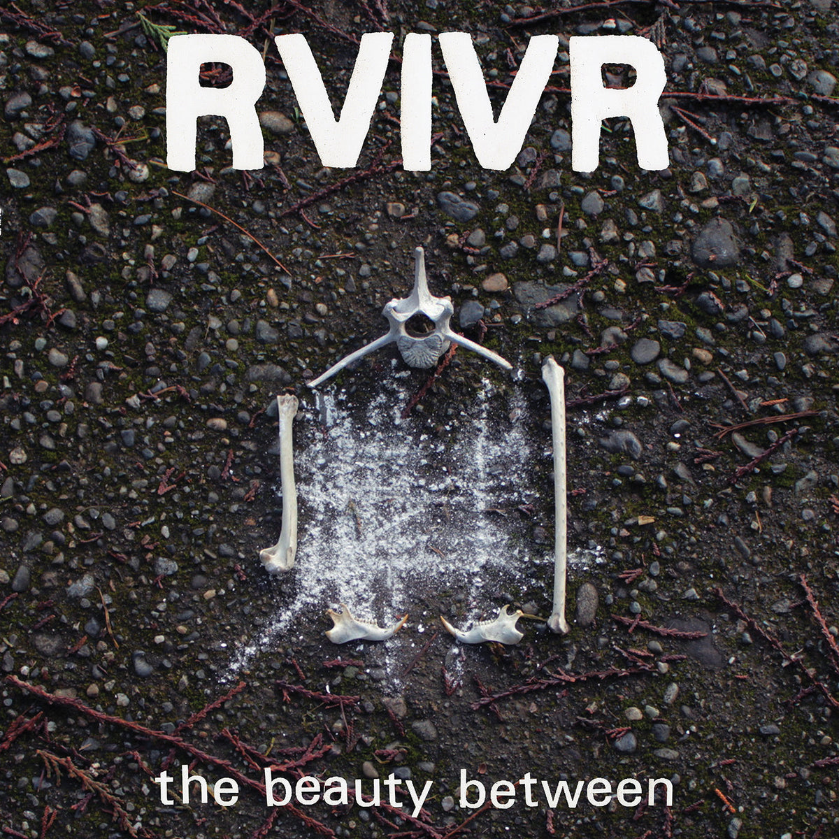 RVIVR - The Beauty Between (Black/Clear Vinyl)