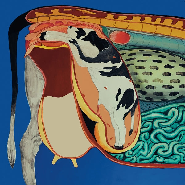 Ryan Power - World of Wonder