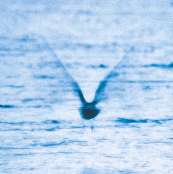 Ryo Fukui - Mellow Dream (LP) - Joco Records