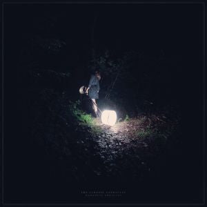 Saddest Landscape - Darkness Forgives (COLOR VINYL)