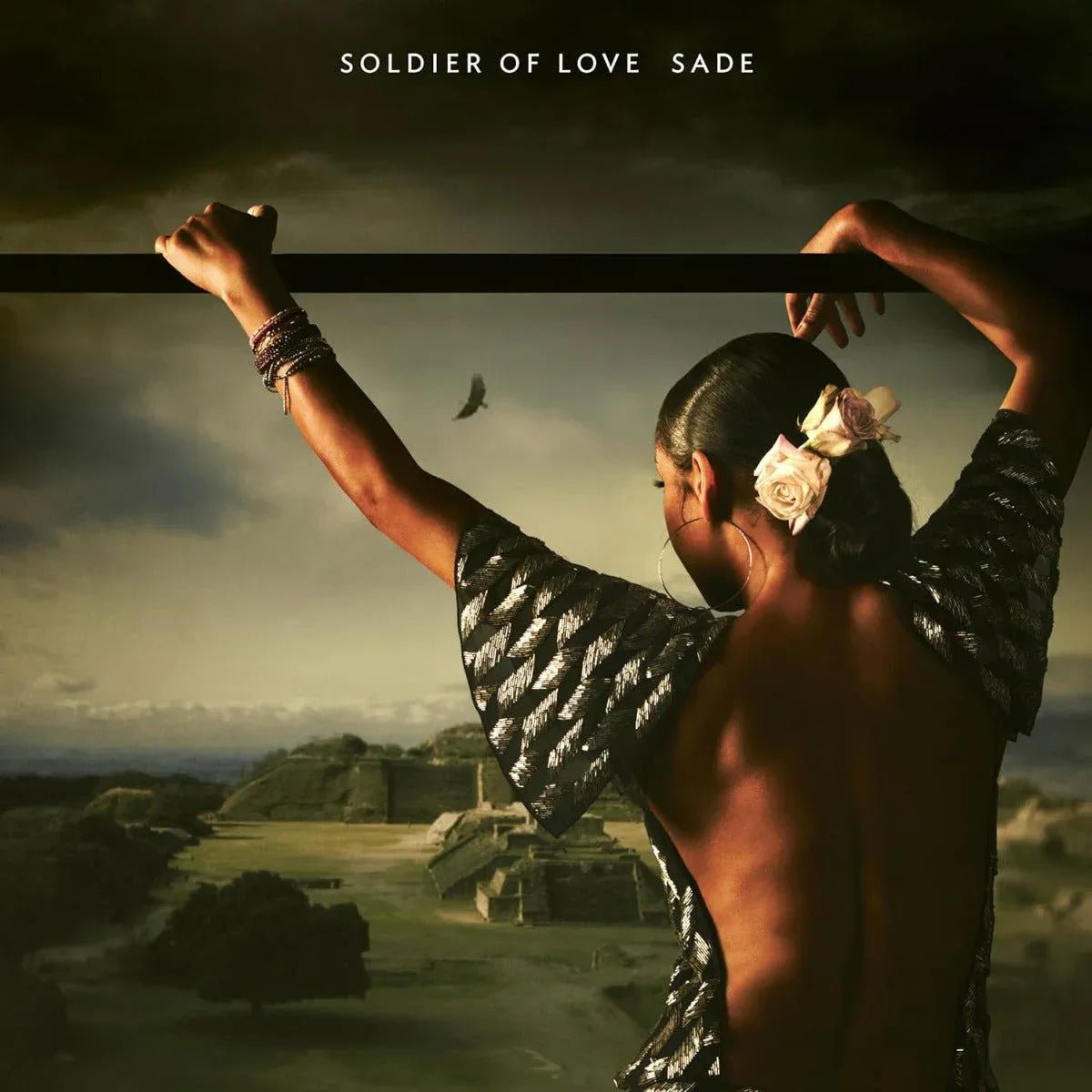 Sade - Soldier Of Love (Half-Speed Mastered, 180 Gram) (LP) - Joco Records