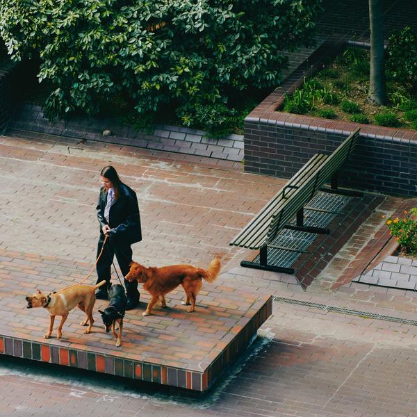 SAINT DX - Way Back Home