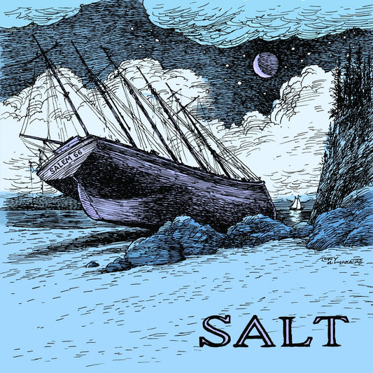 Salem 66 - Salt (Blue Vinyl) (LP) - Joco Records