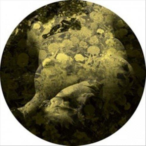 Salva - Yellobone - 12 (Vinyl)
