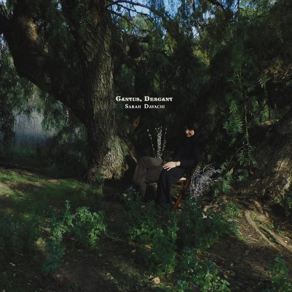 Sarah Davachi - Cantus, Descant (LP) - Joco Records