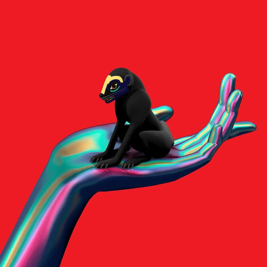 Sbtrkt - Wonder Where We Land (LP) - Joco Records