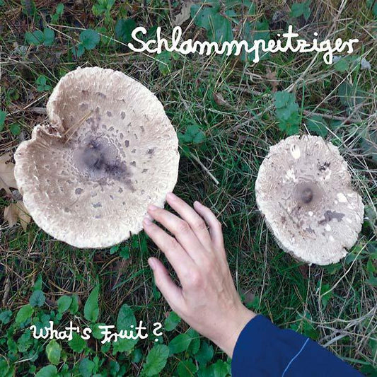 Schlammpeitziger - What's Fruit? (LP) - Joco Records