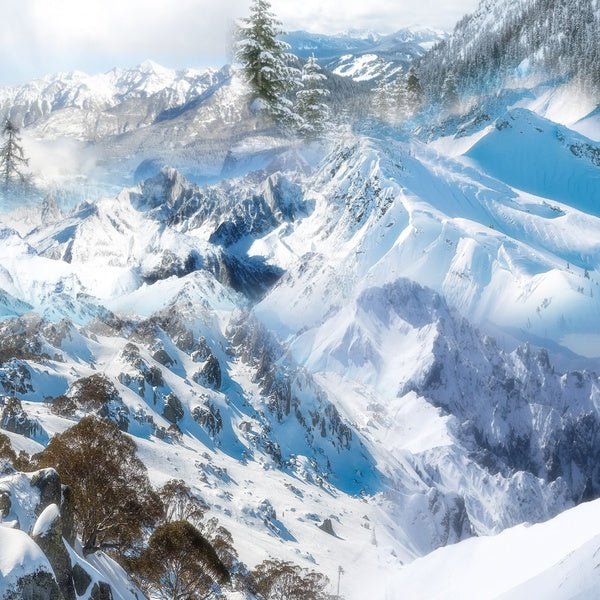 Schntzl - Holiday (LP) - Joco Records