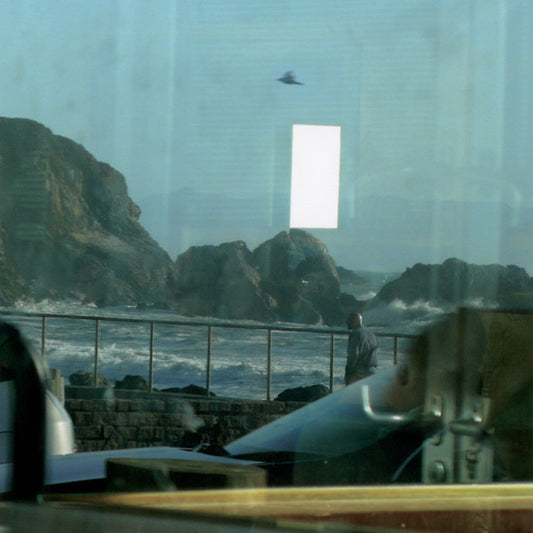 SCOTT CAZAN - Swallow
